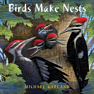 birds-make-nests