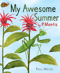 my-awesome-summer